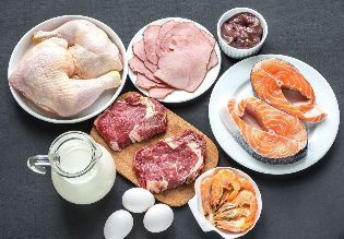 Protein diet untuk menurunkan berat badan